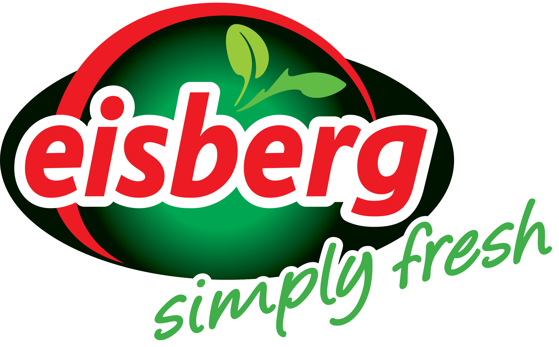 Eisberg Logo