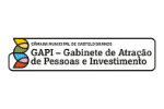 GAPI Logo
